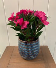Load image into Gallery viewer, Round Donard Planter
