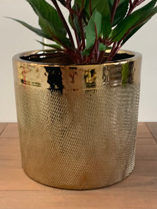 gold coloured indoor plant pots Gold etched planter – Hampers by Kim